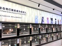 -翊宠yipet猫狗购宠庄园犬舍•猫舍