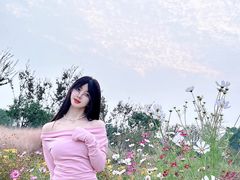 -合肥滨湖国家森林公园