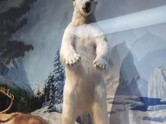 -陕西自然博物馆