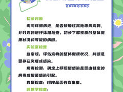 -瑞派申生动物医院·24H夜诊·国际动物医疗中心·骨外科(吴中路店)