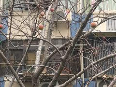 -七浦路服装批发市场