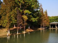 景点-白塘生态植物园