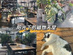 -北马山庄植趣咖啡