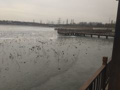 -天津东丽湖风景区