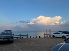 -日照海滨国家森林公园