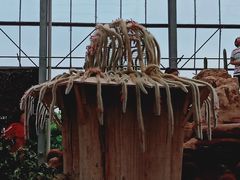 -南通洲际绿博园