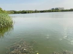 -大兴滨河森林公园