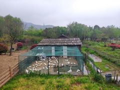 -无锡动物园·太湖欢乐园