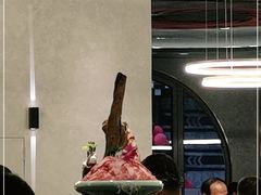 -蜀九香火锅(彩虹店)