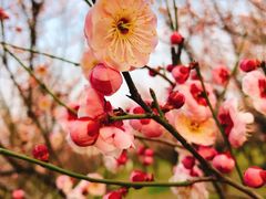 -蜀冈西峰生态公园