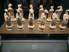 -陕西自然博物馆