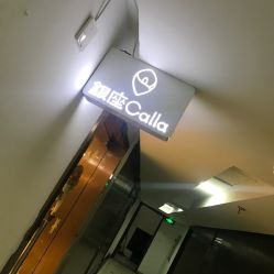 -银座Calla