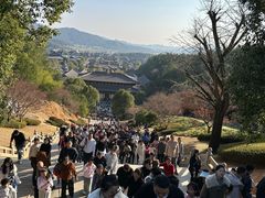 -庐山风景名胜区-东林大佛