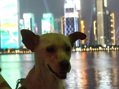 -钱江新城灯光秀