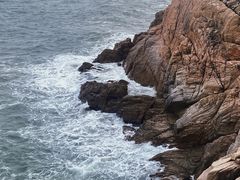 -广东惠东海龟国家级自然保护区
