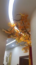 -芳朵美容养生SPA