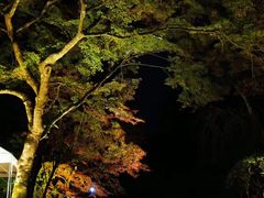 -醍醐寺