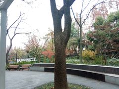 -兰溪青年公园