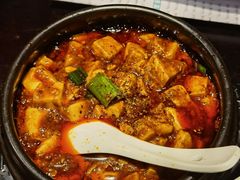 -陈麻婆豆腐总店
