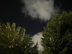 -万盛合(渔人码头店)