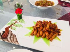 香煎蚕丝菌-星海一品