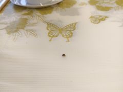-铭副琦食·虾蟹烩馆(渔人码头店)