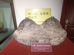 -武汉达临性学生命文化博物馆