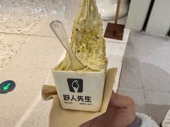 -野人先生现做冰淇淋(贵阳万象汇店)