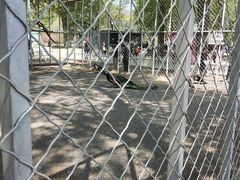 -大连铭湖国际观光牧场