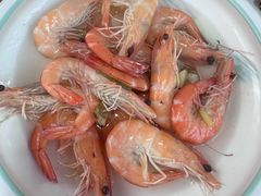 -小小饭店·休闲农庄·安吉松树林里的农家菜