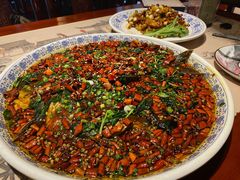 杨记招牌鱼-杨记隆府(时代天街店)