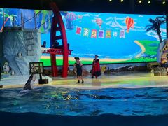 -三亚海昌梦幻海洋不夜城