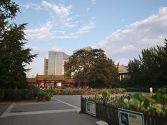 -莲花池公园