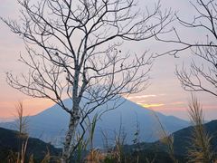 -梧桐山风景名胜区