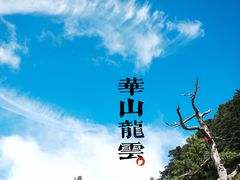 -华山风景名胜区