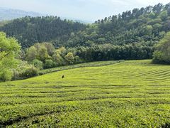 -敬亭山风景名胜区