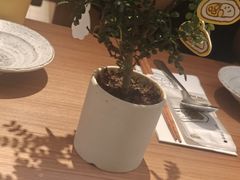 -CURRY YA 熟成咖哩專門店(深圳湾万象城店)