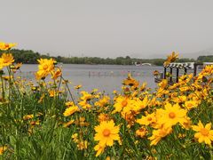 -石家庄市植物园