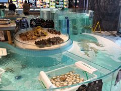 -鞍山大白鲨美食酒店