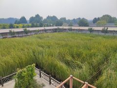 -河北村民俗体验园