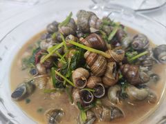 炒螺蛳-溱湖八鲜菜馆