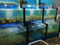 水产区-老东镇啤酒屋海鲜加工·蒸汽海鲜·海鲜烧烤(台东店)