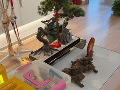 -席仁堂推拿按摩脊柱调理(世纪科贸大厦店)