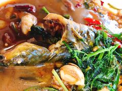 红烧昂刺鱼-杨辉饭店