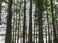 -东湖落雁景区