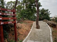 -仙岳公园