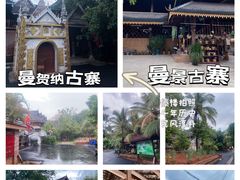 -西双版纳原始森林公园