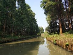 景点-同里国家湿地公园