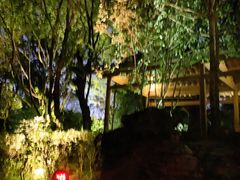 -和顺柏联温泉