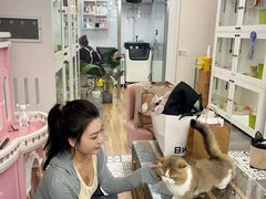 -青奢宠物·青奢猫舍